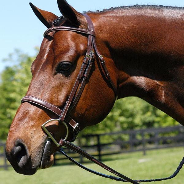 Heritage Wide Caveson Hunter Bridle - The Polished Rider