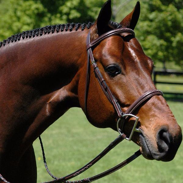 Heritage Padded Fancy Stitch Bridle - The Polished Rider