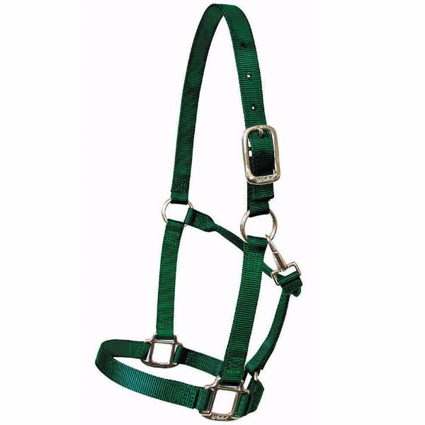 Horse Halter - The Polished Rider